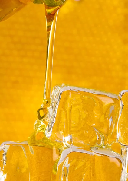 Cold honey comb — Stock Photo, Image