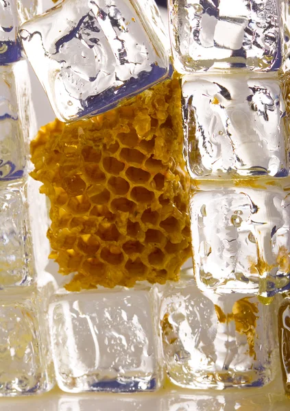 Studené medové plástve — Stock fotografie