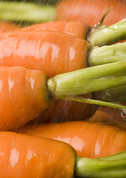 Carrots — Stock Photo, Image