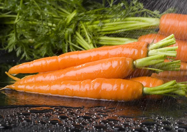 Carrots — Stock Photo, Image