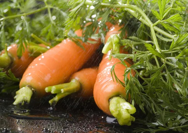 Carrots — Stock Photo, Image