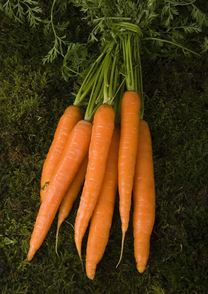 Carrots — Stock Photo, Image