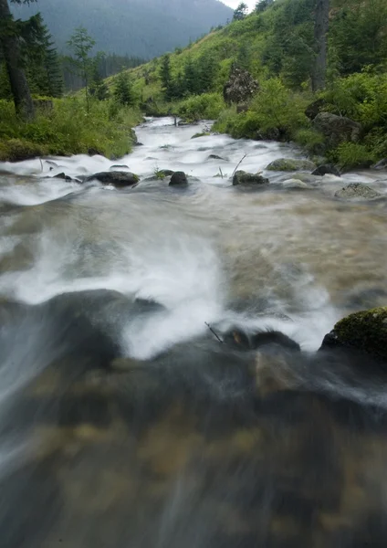 Stream — Stock Photo, Image