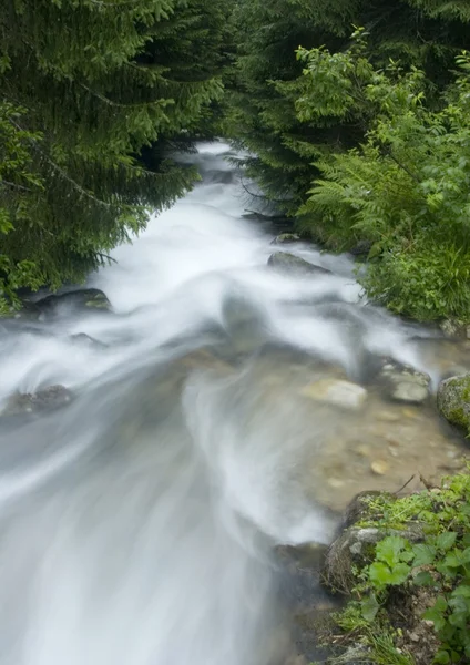 Akış — Stok fotoğraf