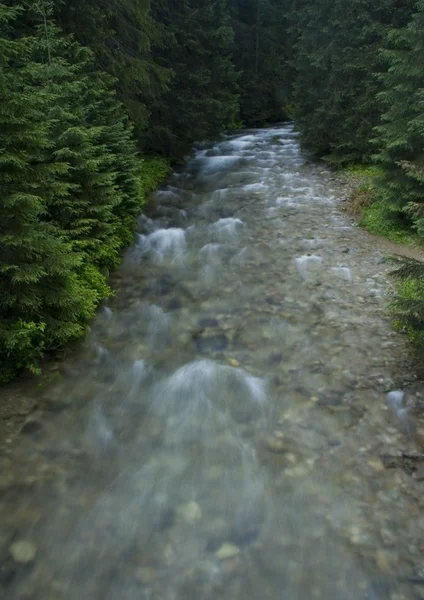 Akış — Stok fotoğraf