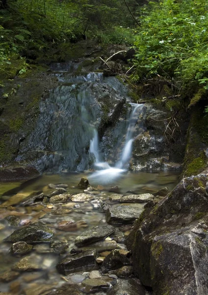 Stream in mountains — Stock Photo, Image