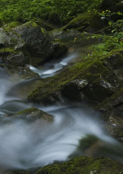 Stream in mountains — Stock Photo, Image