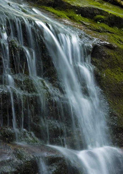 Dağ şelale — Stok fotoğraf