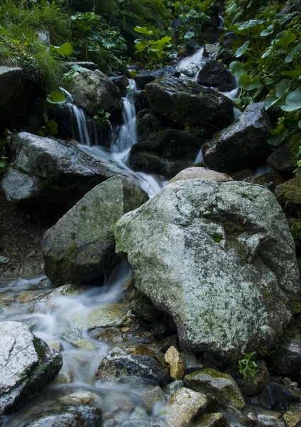 Stream in mountains — Stock Photo, Image