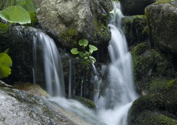 Cascata di montagna — Foto Stock