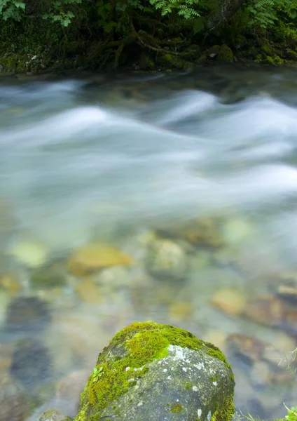 Stream — Stock Photo, Image