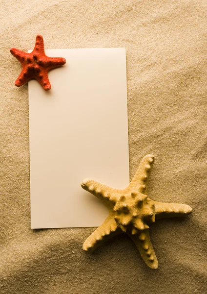 Shell, sand & sheet of paper — Stock Photo, Image