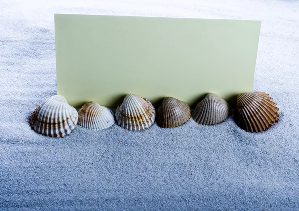 Coquille, sable et feuille de papier — Photo