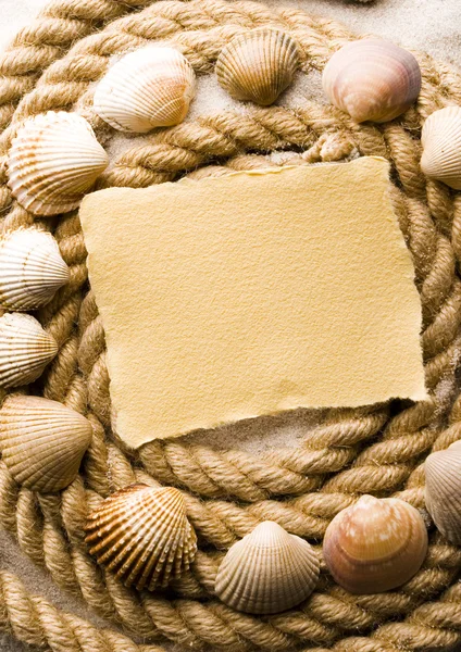 Shell, sand & sheet of paper — Stock Photo, Image