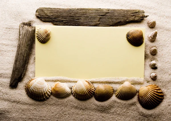 Shells frame — Stock Photo, Image