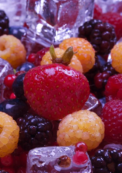 Frutas dulces y cubitos de hielo — Foto de Stock