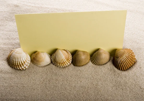 Sand and seashells frame — Stock Photo, Image