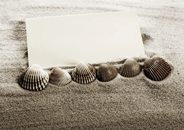 Раковина, песок и лист бумаги — стоковое фото