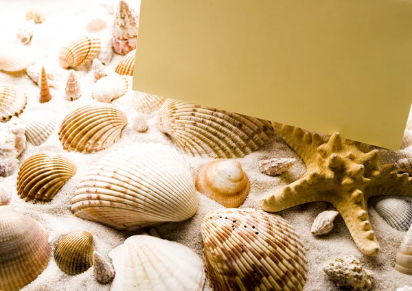 Shell, sand & sheet of paper — Stock Photo, Image