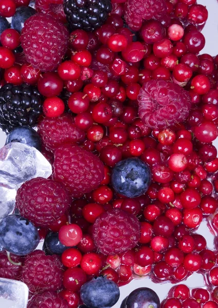 Frutas pequeñas —  Fotos de Stock