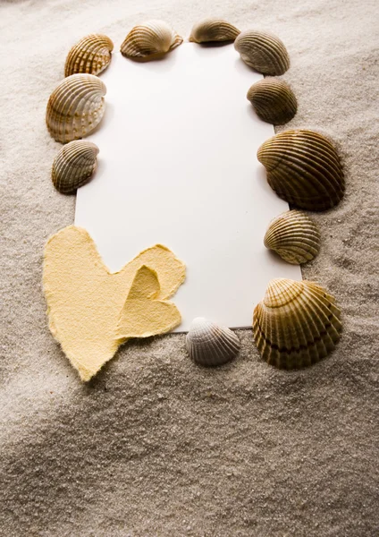 Carta de papel de verão com shell — Fotografia de Stock