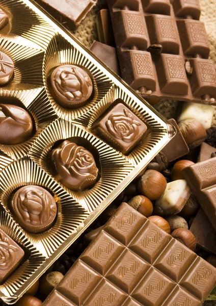 Barer i choklad — Stockfoto