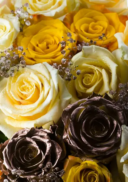 Rosas románticas —  Fotos de Stock