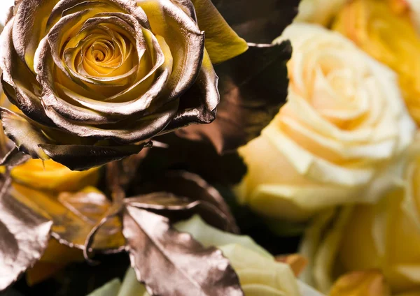 Gold rose — Stockfoto