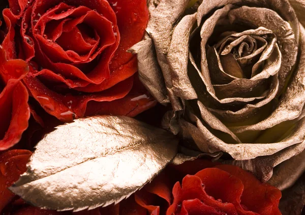 Valentine's roses — Stock Photo, Image