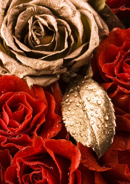 Valentine's roses — Stock Photo, Image