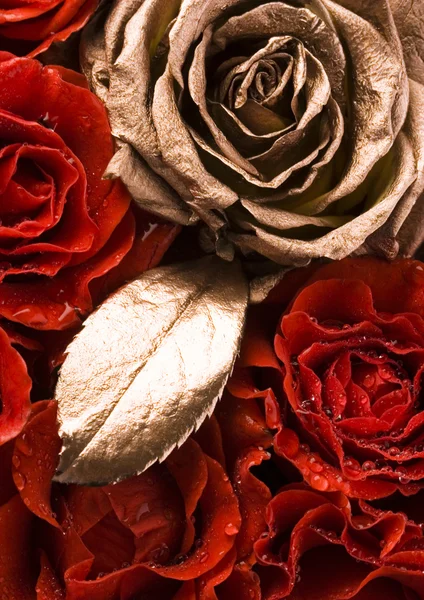 Roses de la Saint-Valentin — Photo