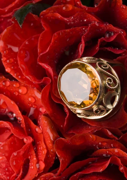 Roses with ring — Stock Photo, Image