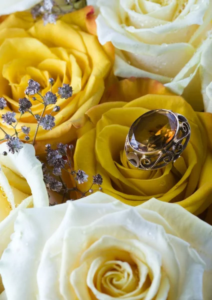 Roses with ring — Stock Photo, Image