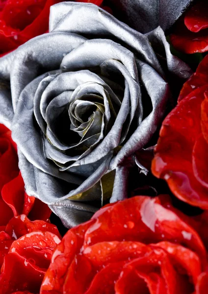 Srebrne róże — Zdjęcie stockowe