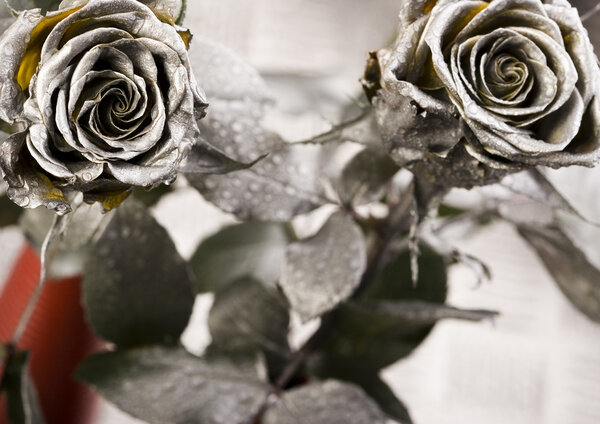 Серебряные розы
