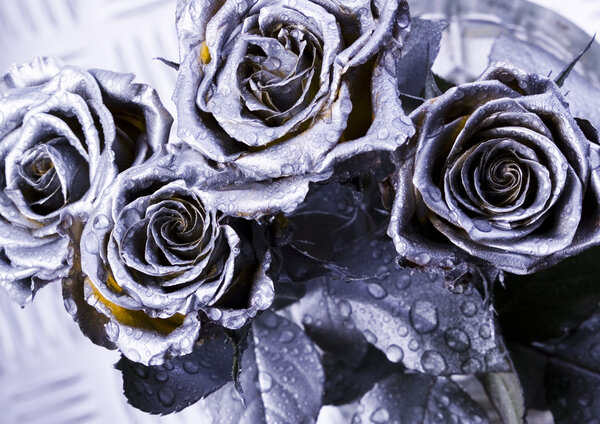 Каменные розы
