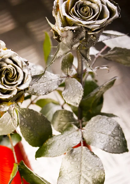 Rosas de prata — Fotografia de Stock
