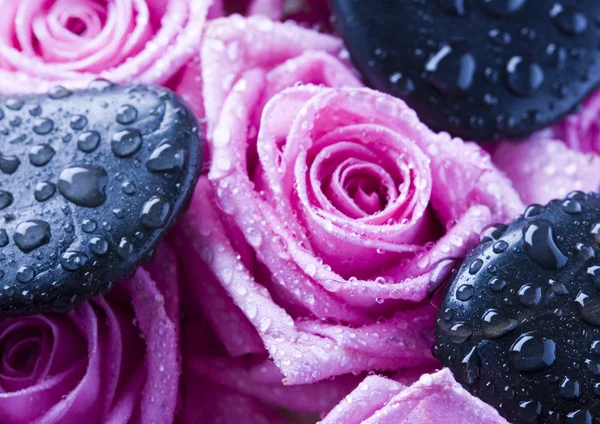 Wet roses — Stock Photo, Image