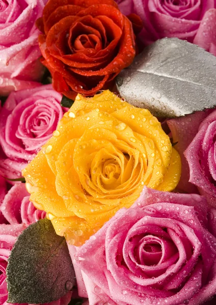 Rosas molhadas — Fotografia de Stock