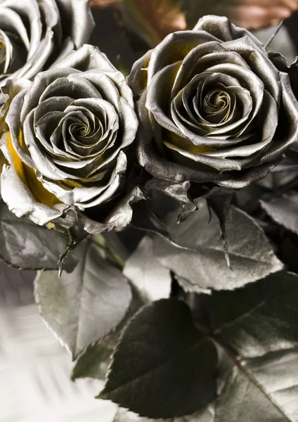Silver roses — Stock Photo, Image