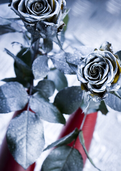 Камни цветов
