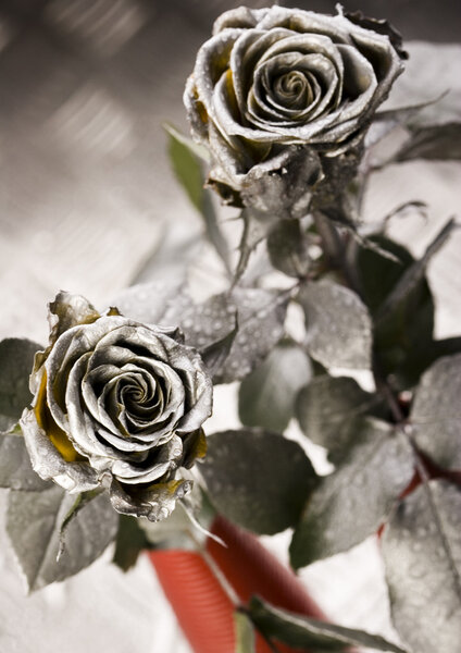 Серебряные розы
