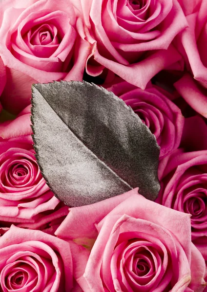 Roses and leaf — Stock Photo, Image