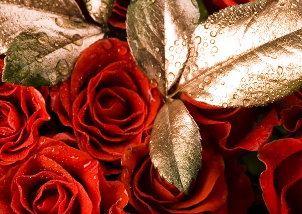 Red roses with leaves — Stock Photo, Image