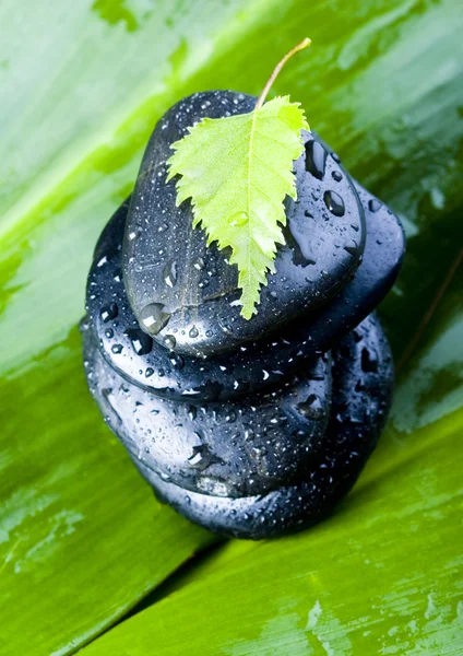 Leaf & Stones — Stock Photo, Image