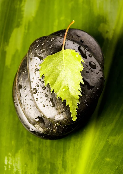 Leaf & Stones — Stock Photo, Image