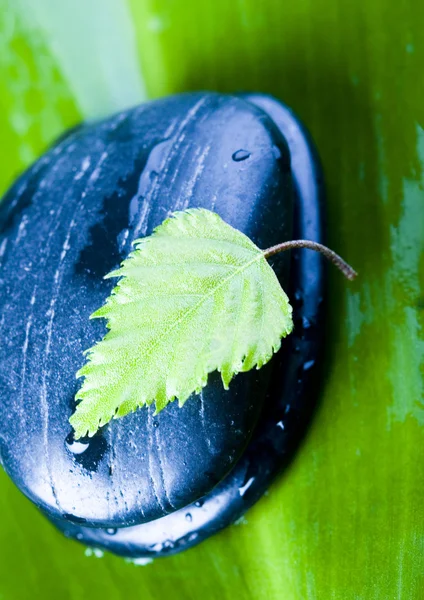 Leaf & Stones — Stock Photo, Image