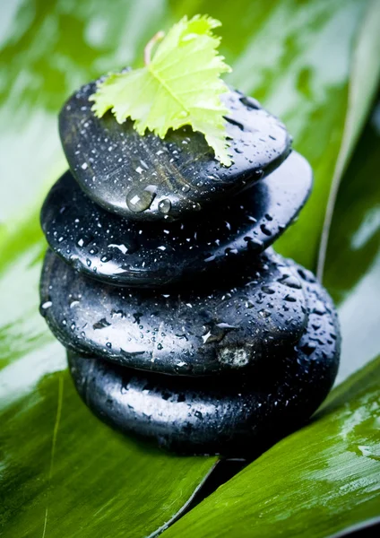 Hoja y Piedras — Foto de Stock