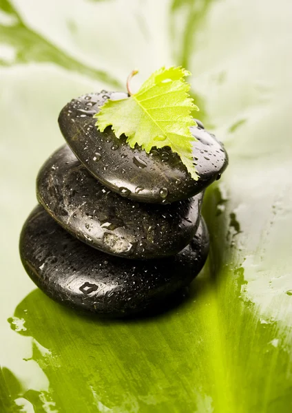 Hoja y Piedras — Foto de Stock