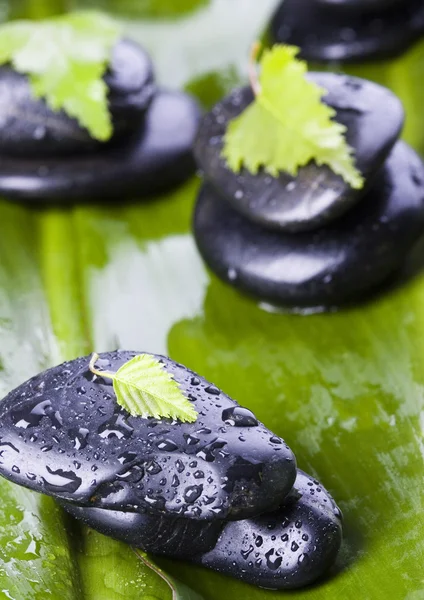 Hoja y Piedras —  Fotos de Stock